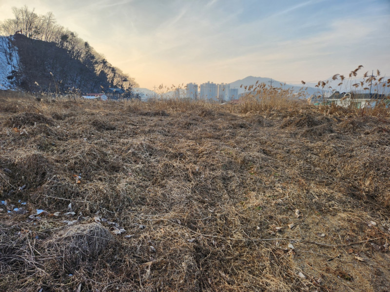 양평군 용문면 토지 매매