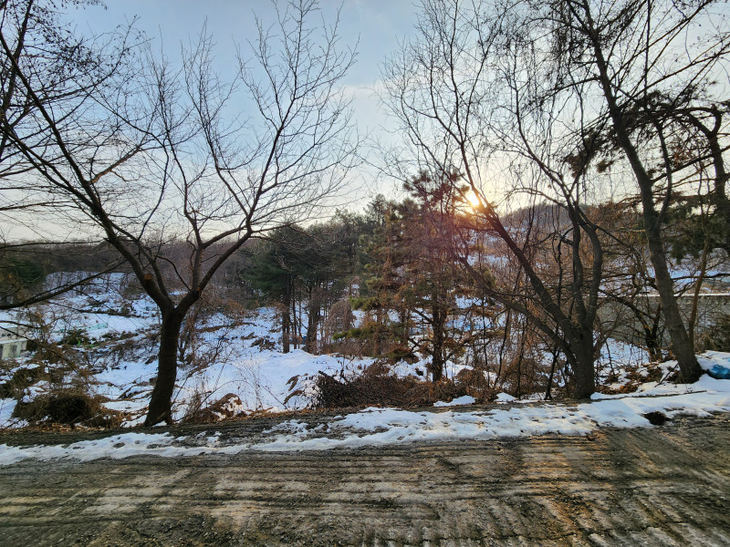 양평 옥천면 전원주택 부지 매매 8천 5백 (184평) - 남향, 조용하고 전망좋은 곳 (매물 #25068)