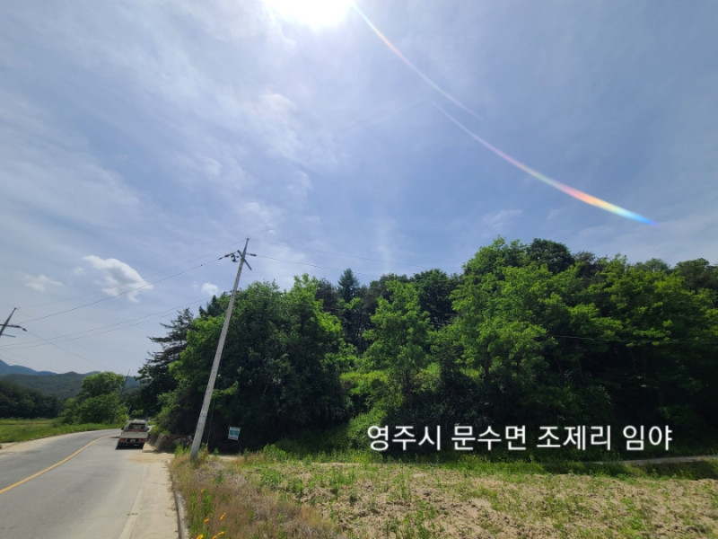 경북 영주시 문수면 조제리 토지(임야, 전)