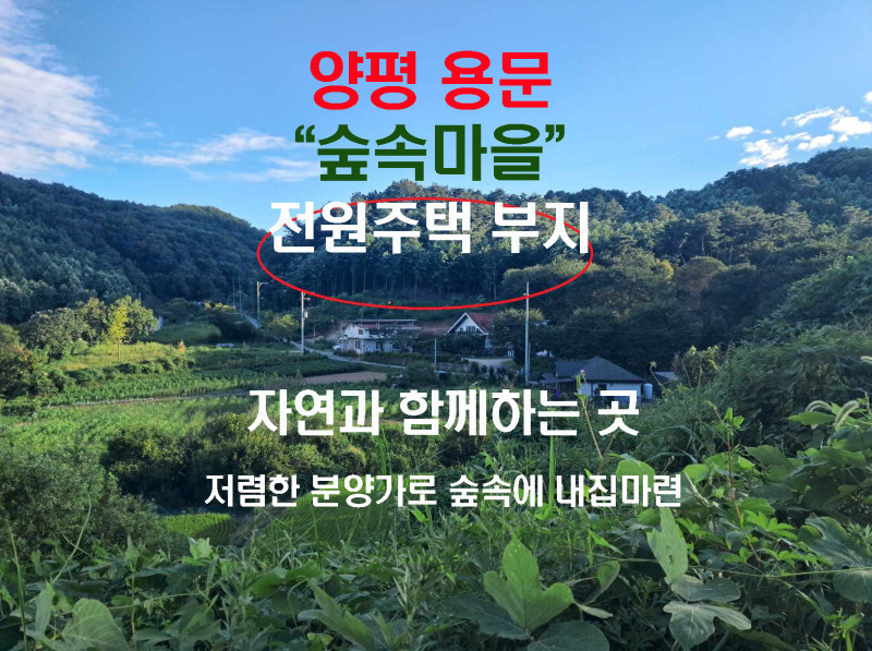 양평 용문면 숲속마을 전원주택 부지 분양 - 저렴한 분양가 (매물 #25103)