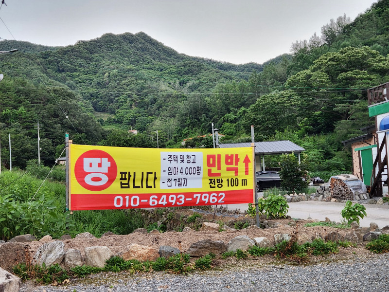 충북 단양 대강 토지 매매 (주택, 창고, 임야 4,000평)