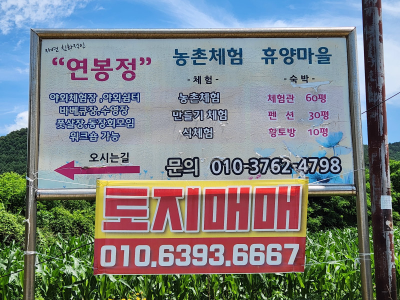 강원 원주 신림 토지 매매