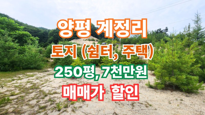 🌲 숲에 기대어 쉬어가는 공간, 산촌 체류형 쉼터 250평 토지, 할인가 7천만원 (매물 #25240)